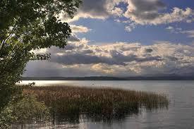 Oasi San Francesco del Garda